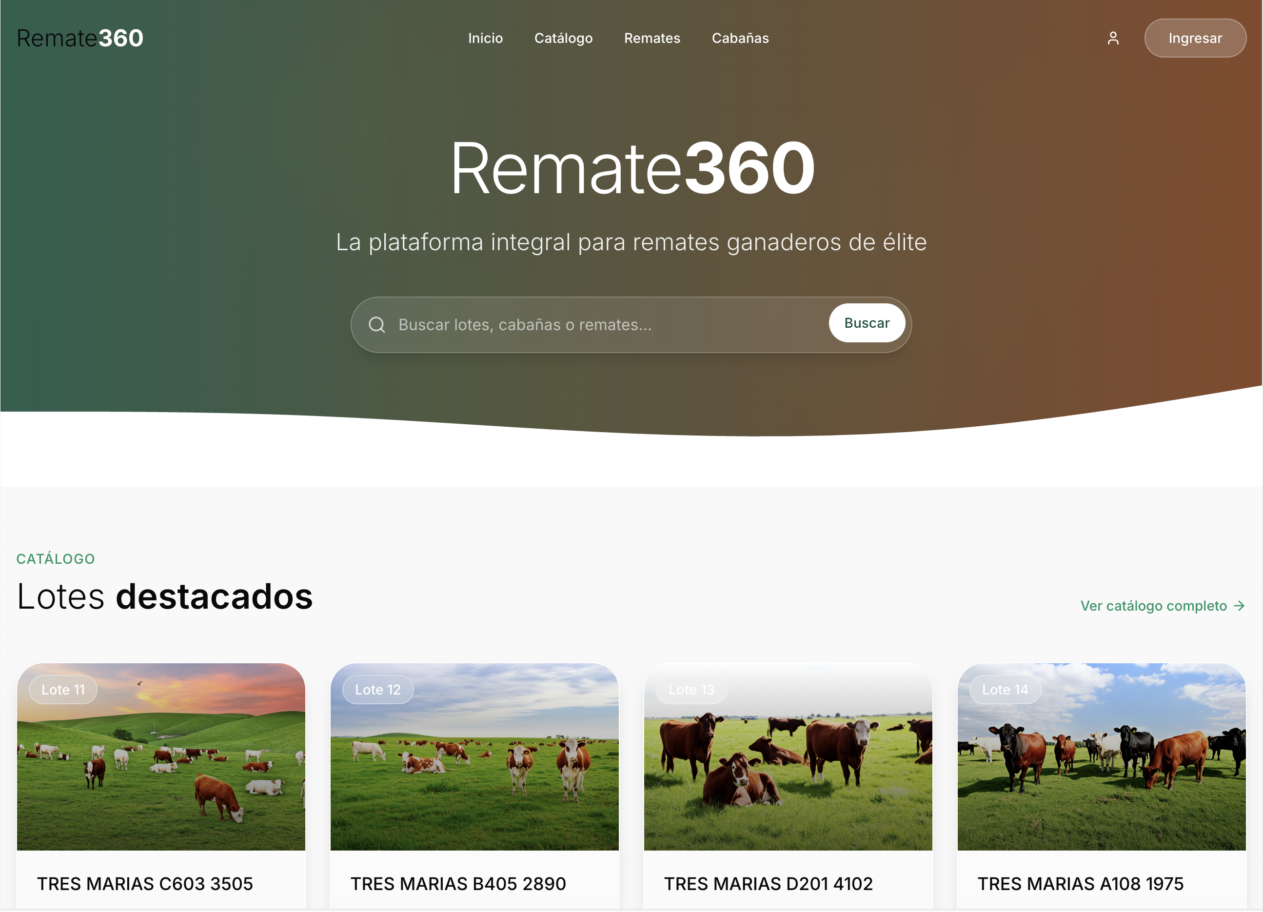 Remate360